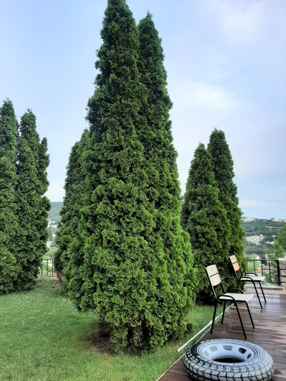 Гостевой дом Над морем Ялта