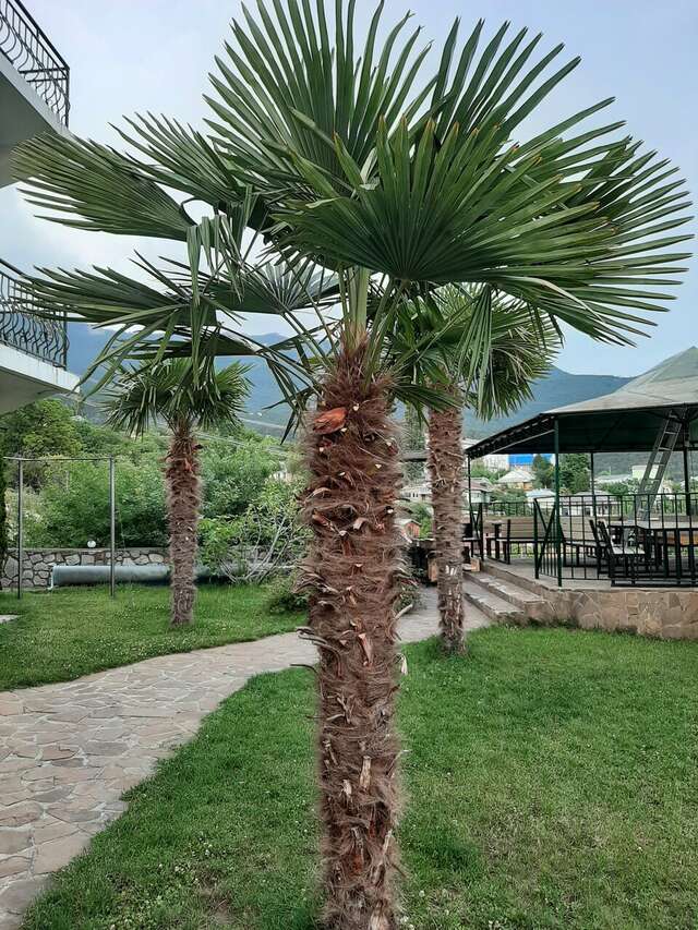 Гостевой дом Над морем Ялта-50